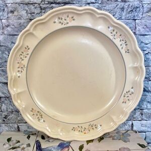 Pfaltzgraff Remembrance 10-3/8 Inch Dinner Plate No Center Design